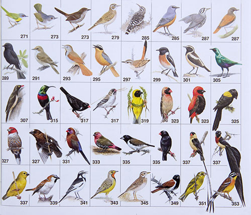 Pictorial Quick Index 