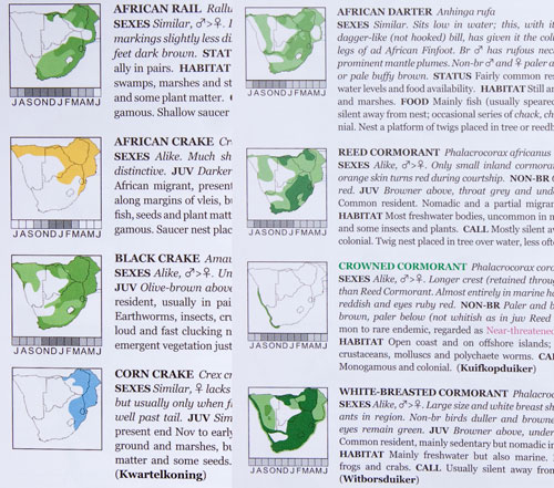 New Multicoloured maps