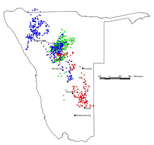 Cape Vultures 7 and 8