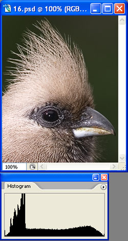 16bit image with histogram