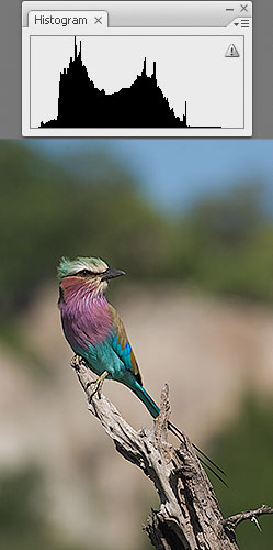 Normal camera exposure