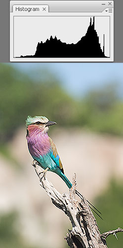 Exposure as bright as possible to capture as much data as possible